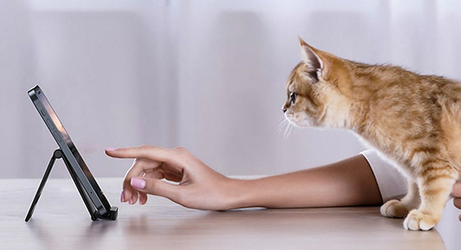 Beneficial Phone Holder For Facetime Users In 2022